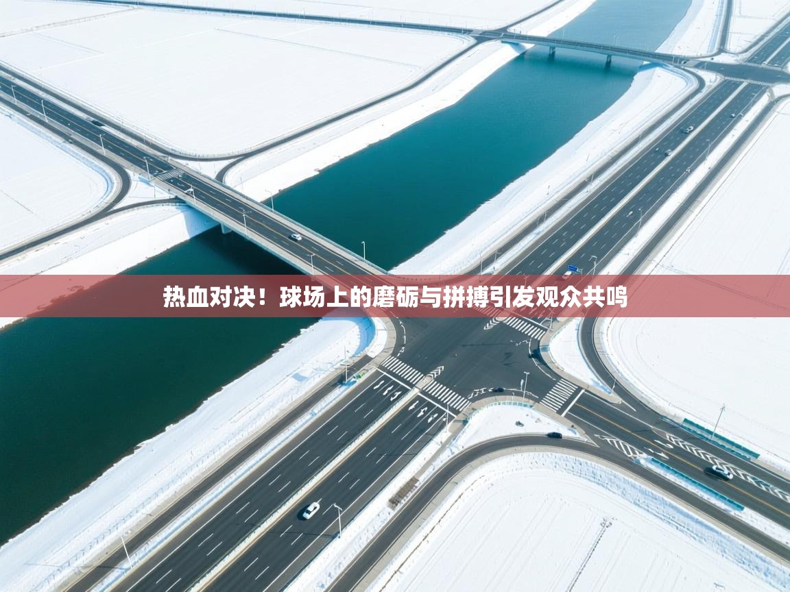 热血对决!球场上的磨砺与拼搏引发观众共鸣 第1张