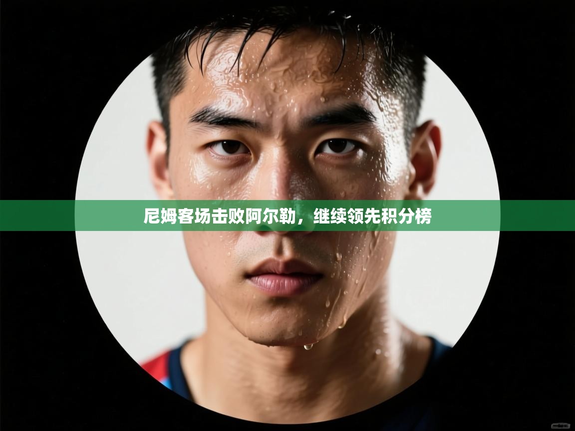 尼姆客场击败阿尔勒,继续领先积分榜 第1张