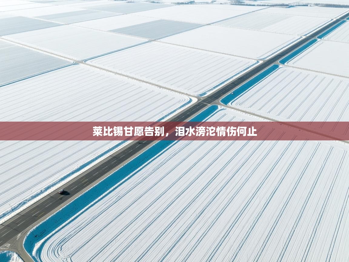 莱比锡甘愿告别，泪水滂沱情伤何止