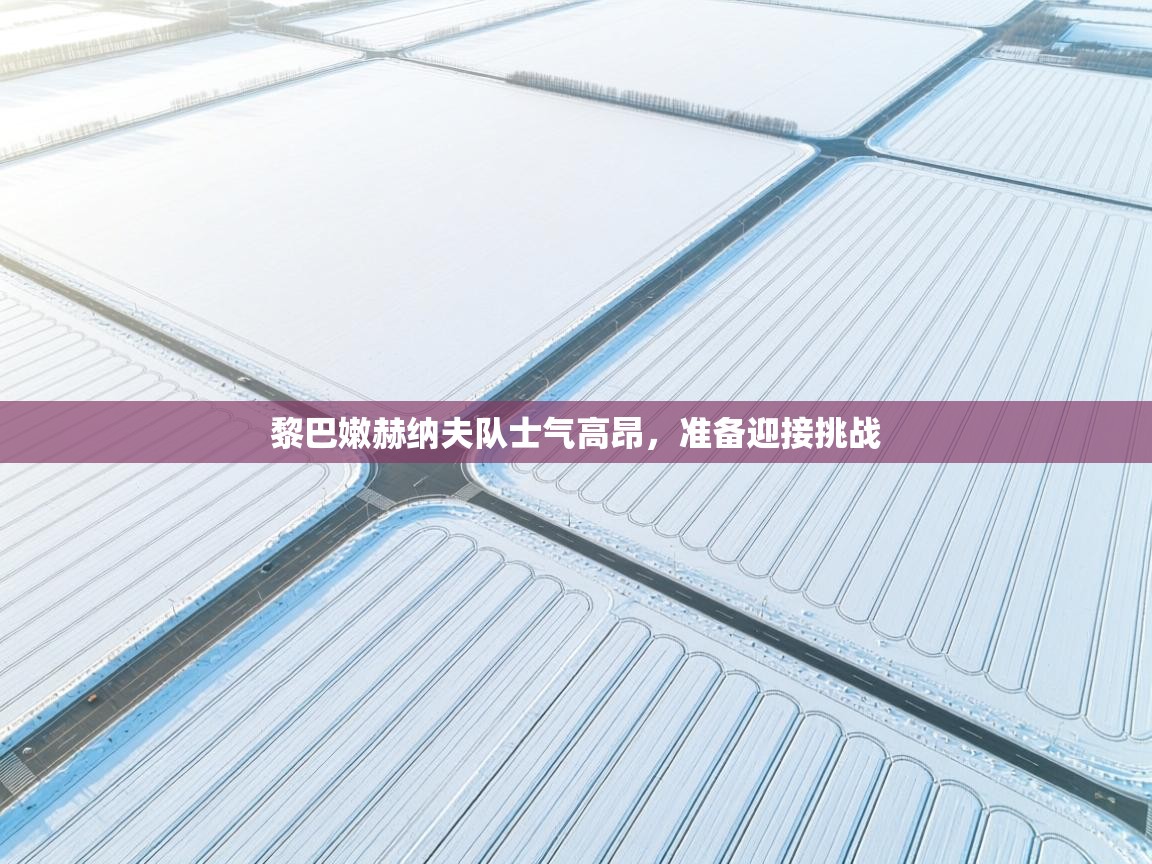 黎巴嫩赫纳夫队士气高昂，准备迎接挑战  第2张