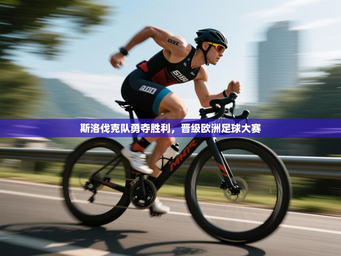 斯洛伐克队勇夺胜利,晋级欧洲足球大赛 第2张