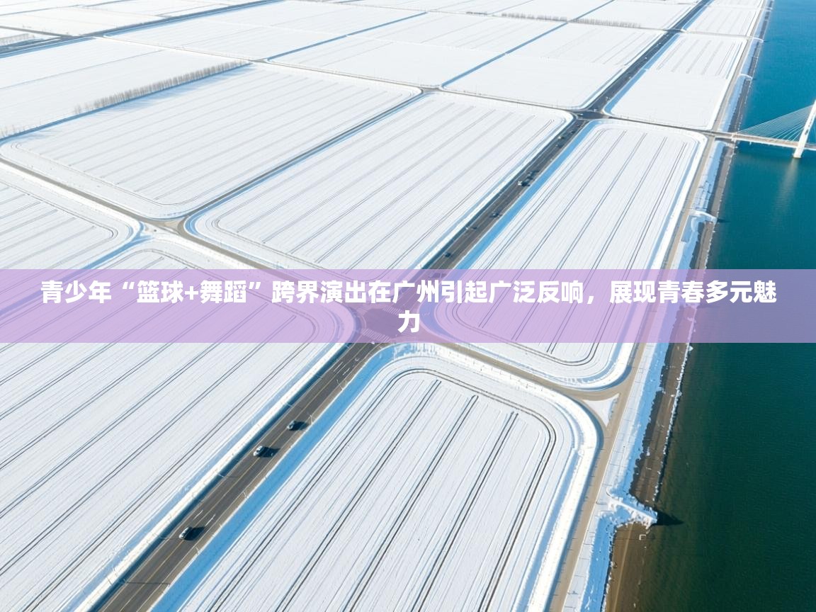 青少年“篮球+舞蹈”跨界演出在广州引起广泛反响,展现青春多元魅力 第1张